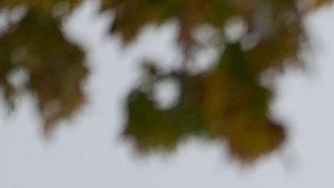 Chicago amaneció con entre dos y cinco centímetros de acumulación, aunque se espera otro episodio de nieve ligera.