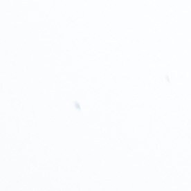 Las zonas de los incendios de enero están bajo riesgo.