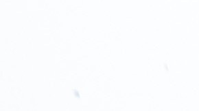 Las zonas de los incendios de enero están bajo riesgo.