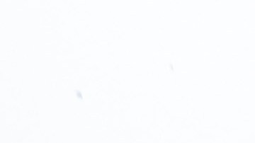 Las zonas de los incendios de enero están bajo riesgo.