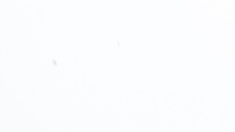 Las zonas de los incendios de enero están bajo riesgo.