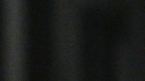 United States' Gio Reyna (7) celebrates his goal during the first half of an international friendly soccer match against Paraguay, Saturday, Nov. 15, 2025, in Chester, Pa. (AP Photo/Derik Hamilton)