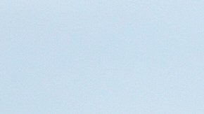 Charlotte vive momentos de tensión por redadas de ICE.