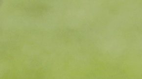 Kris Boyd durante un entrenmiento de los Jets.