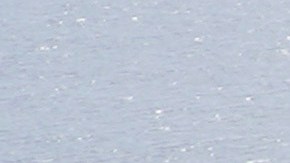 La presidenta de la NTSB, Jennifer Homendy, calificó el accidente como “totalmente prevenible”