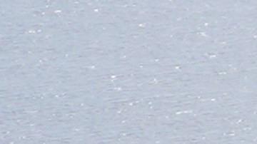 La presidenta de la NTSB, Jennifer Homendy, calificó el accidente como “totalmente prevenible”