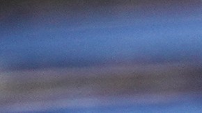 El operativo federal fue bautizado como “Operación Telaraña de Charlotte”, una referencia directa al clásico cuento infantil escrito por E.B. White en 1952.