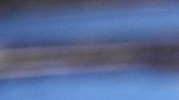 El operativo federal fue bautizado como “Operación Telaraña de Charlotte”, una referencia directa al clásico cuento infantil escrito por E.B. White en 1952.