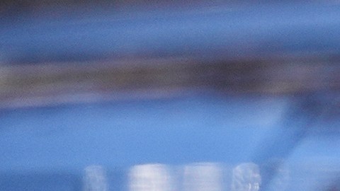 El operativo federal fue bautizado como “Operación Telaraña de Charlotte”, una referencia directa al clásico cuento infantil escrito por E.B. White en 1952.