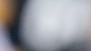 Aaron Rodgers lanza el balón durante el juego contra los Bengals.