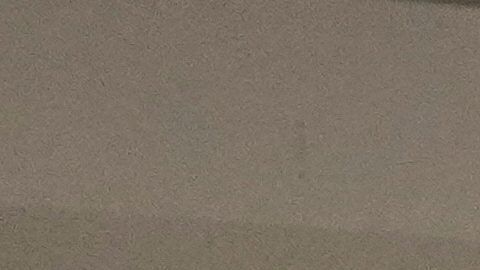 Los haitianos festejaron el triunfo sobre Nicaragua que les dio el boleto al Mundial.