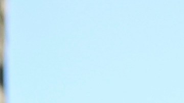 Comercios cerrados, protestas y comunidades paralizadas reflejan el impacto del despliegue.