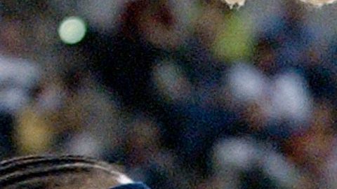 FILE - New Jersey Nets forward Rodney Rogers puts up a shot against Indiana Pacers forward Jermaine O'Neal during the first quarter of a basketball game in Indianapolis, April 9, 2004. (AP Photo/Darron Cummings, File)