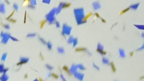 Players of Argentina's Lanus celebrate with the trophy after winning the Copa Sudamericana final soccer match, defeating Brazil's Atlético Mineiro in a penalty shootout, in Asuncion, Paraguay, Saturday, Nov. 22, 2025. (AP Photo/Gustavo Garello)