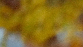 Elementos de la Guardia Nacional, con apoyo de la Policía de D.C., detuvieron al tirador sospechoso.