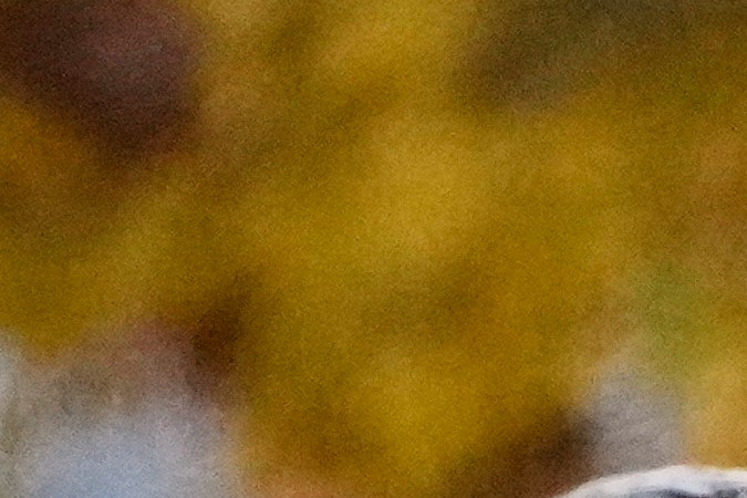 El presunto agresor fue identificado como Rahmanullah Lakanwal, de 29 años.