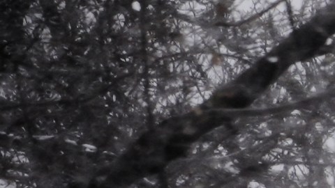 Millones permanecen bajo alertas invernales.