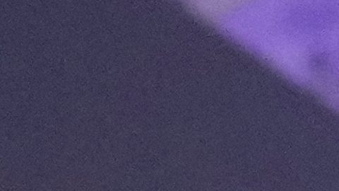 Red Bull driver Max Verstappen of the Netherlands celebrates after winning the Qatar Formula One Grand Prix, at the Lusail International Circuit, in Lusail, Qatar, Sunday, Nov. 30, 2025. (AP Photo/Darko Bandic)