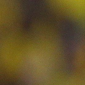 Colombia's Teofilo Gutierrez celebrates after scoring against Peru during a 2014 World Cup qualifying soccer match in Barranquilla, Colombia, Tuesday, June 11, 2013. (AP Photo/Fernando Vergara)