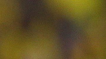 Colombia's Teofilo Gutierrez celebrates after scoring against Peru during a 2014 World Cup qualifying soccer match in Barranquilla, Colombia, Tuesday, June 11, 2013. (AP Photo/Fernando Vergara)