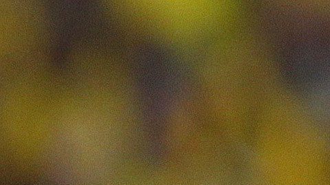 Colombia's Teofilo Gutierrez celebrates after scoring against Peru during a 2014 World Cup qualifying soccer match in Barranquilla, Colombia, Tuesday, June 11, 2013. (AP Photo/Fernando Vergara)