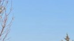 Accidente e bus en Michoacán