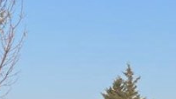 Accidente e bus en Michoacán