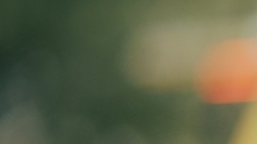 Fiestas y acidez estomacal: consejos para evitar el malestar