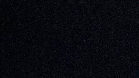 A U.S. Immigration and Customs Enforcement agent takes part in an early morning operation in Park Ridge, Ill., Sept. 19, 2025. (AP Photo/Erin Hooley, File)