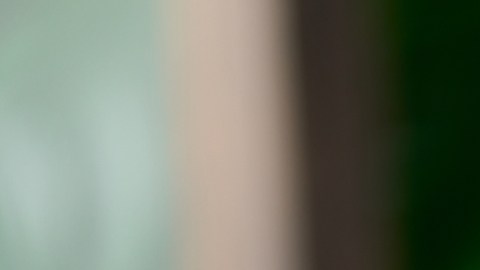 Hara hachi bu, la filosofía japonesa de comer moderado: ¿qué alimentos se recomiendan?