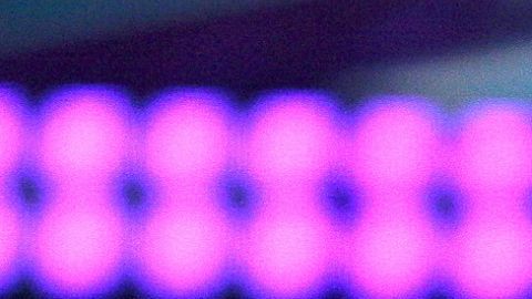 Anahí Aldo de Nigris