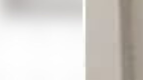 Angélica Lourdes Vázquez