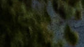 Investigators examine the scene of a mass shooting Sunday, Nov. 30, 2025, in Stockton, Calif. (AP Photo/Ethan Swope)