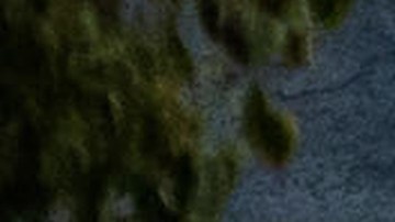 Investigators examine the scene of a mass shooting Sunday, Nov. 30, 2025, in Stockton, Calif. (AP Photo/Ethan Swope)