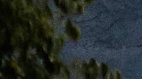 Investigators examine the scene of a mass shooting Sunday, Nov. 30, 2025, in Stockton, Calif. (AP Photo/Ethan Swope)