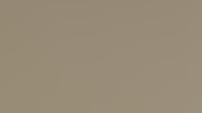 El valor en el mercado negro de la droga asciende a $2 millones 604,215 dólares.