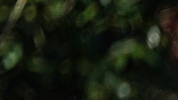 Agentes de la Patrulla Fronteriza destacados en Carolina del Norte para ayudar en redadas de ICE.