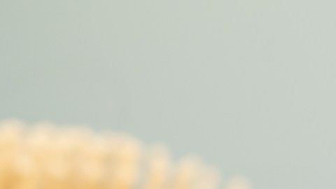 Fármacos para la pérdida de peso pueden también hacerte caer el cabello