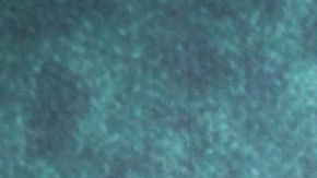 Camila Sodi Michael Jackson