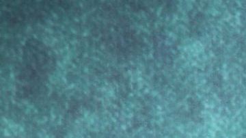 Camila Sodi Michael Jackson