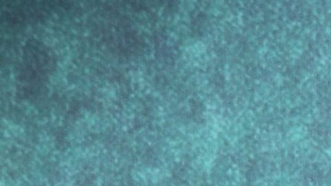 Camila Sodi Michael Jackson