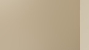 Captura de Armando Nava Gallegos