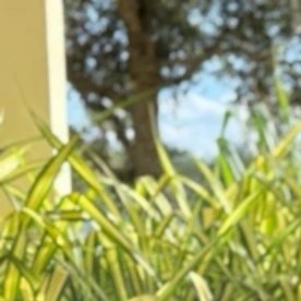 Chantille Manuel dejó atrás las adicciones y reconstruyó su vida laboral, pero aún tiene dificultades para alimentar a su familia.