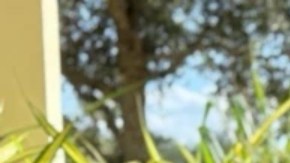 Chantille Manuel dejó atrás las adicciones y reconstruyó su vida laboral, pero aún tiene dificultades para alimentar a su familia.