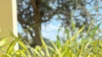 Chantille Manuel dejó atrás las adicciones y reconstruyó su vida laboral, pero aún tiene dificultades para alimentar a su familia.