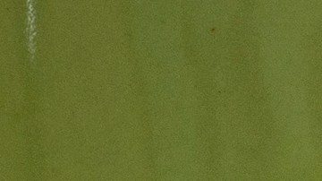 Cheques de estímulo firmados por Donald Trump