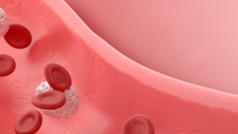 Destacan avances en terapia génica para reducir el colesterol alto de forma permanente
