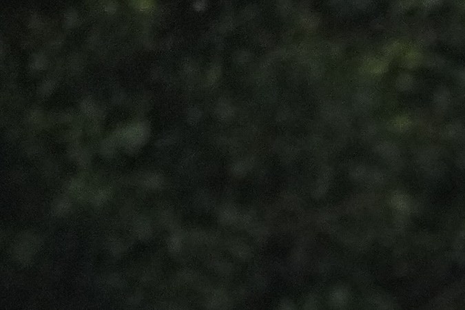 Los Angels Dodgers players and staff ride on a double-decker bus during a parade to celebrate the baseball team's World Series win on Monday, Nov. 3, 2025, in Los Angeles. (AP Photo/Jae C. Hong)