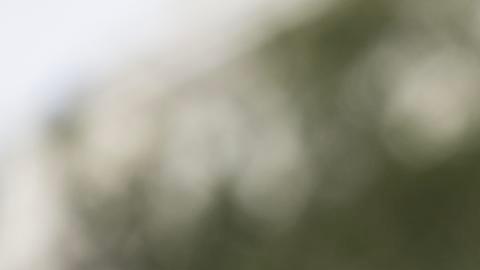 WASHINGTON (United States), 18/11/2025.- US Rep. Robert Garcia, (D-Calif.), speaks to members of the media outside of the US Capitol in Washington, DC, USA, 18 November 2025. US Rep. Adelita Grijalva, (D-Ariz.) holds a press conference on the Epstein files after being officially sworn in last week. The House is set to vote on the bill, with President Trump's recent endorsement, would require the Department of Justice to release all files related to the Jeffrey Epstein case. EFE/EPA/LUKE JOHNSON