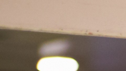 Cupones SNAP, ayudas y descuentos